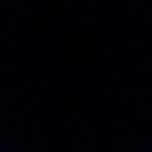 Meet your Posher, Amiya